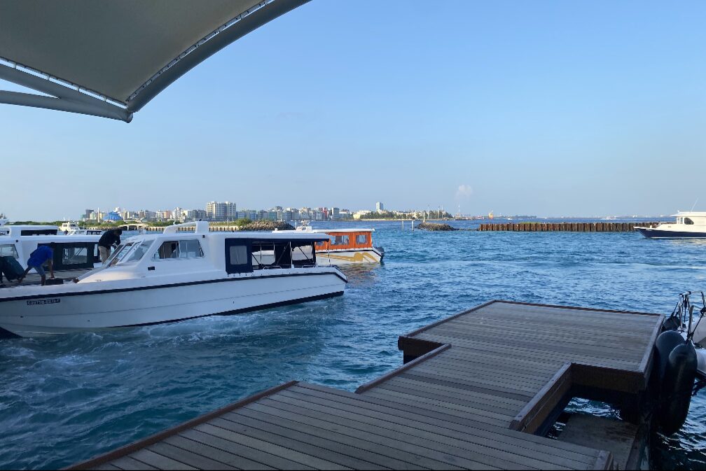 モルディブルフィアは必要？入手方法や必要性を徹底解説